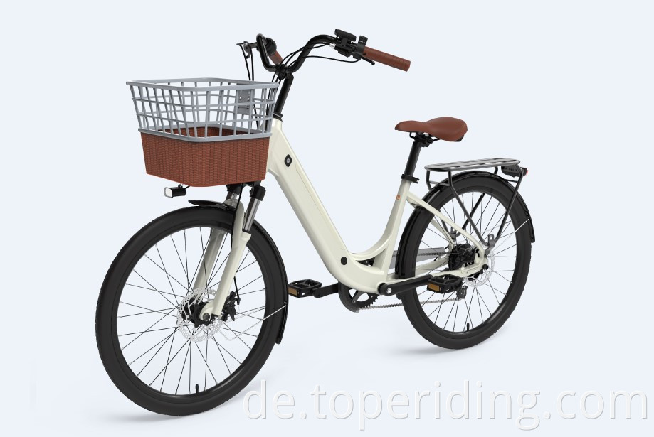 Electric Bike 